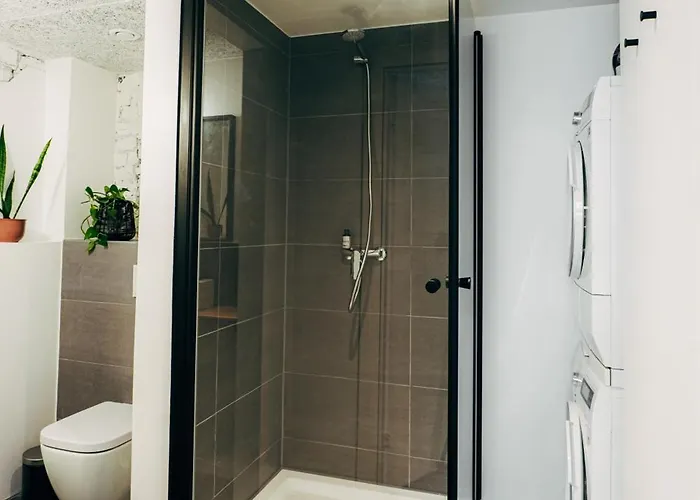 Mighty Squirrel Apartment