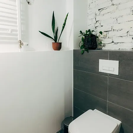 Mighty Squirrel * Riga