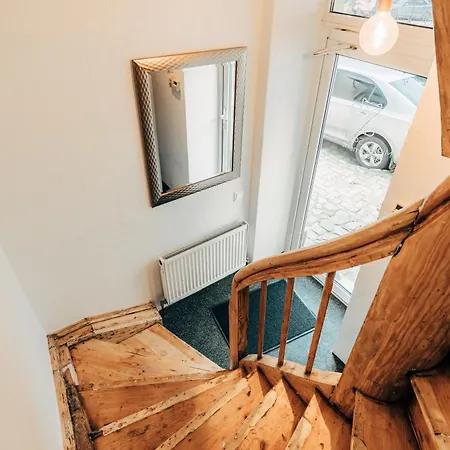 Daire Mighty Squirrel *